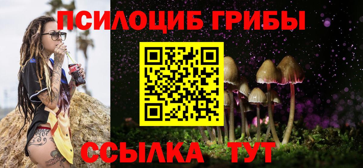 Псилоцибиновые грибы Psilocybe Ржев