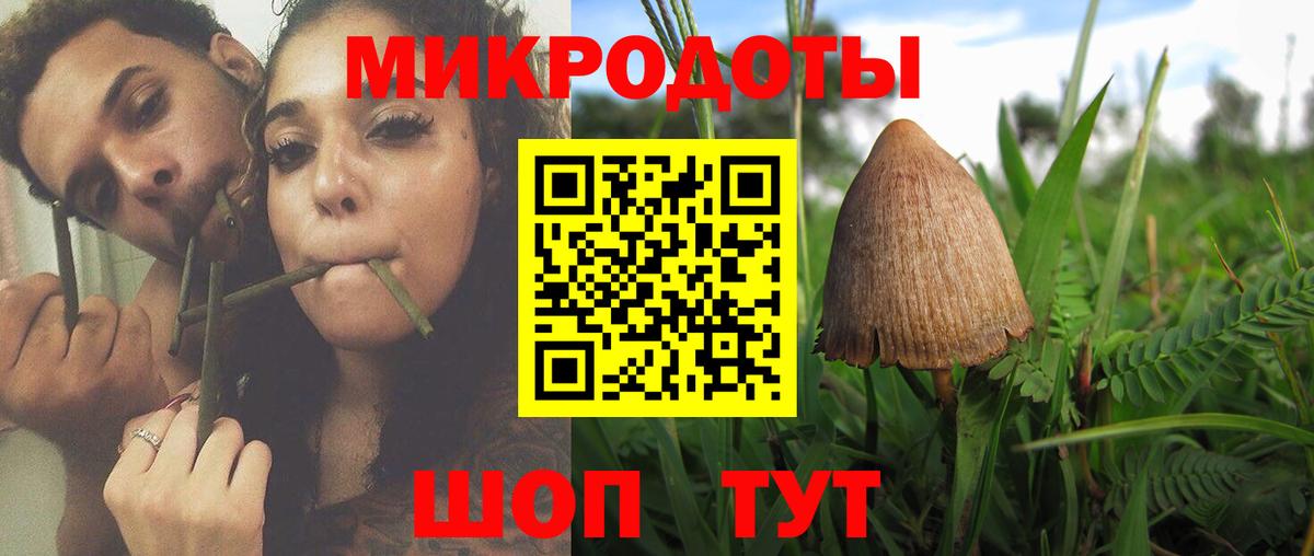Ржев  цена наркотик  Вход с VPN  Галлюциногенные грибы Magic Shrooms 